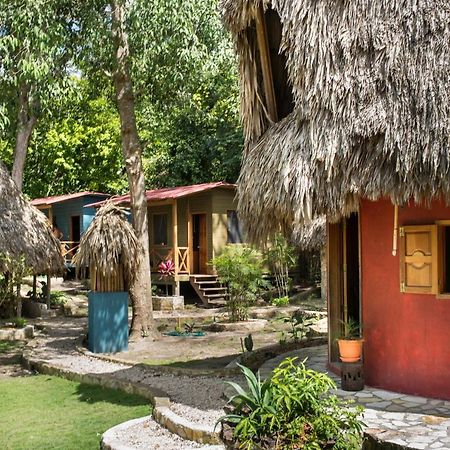 Alice Guesthouse El Remate Dış mekan fotoğraf