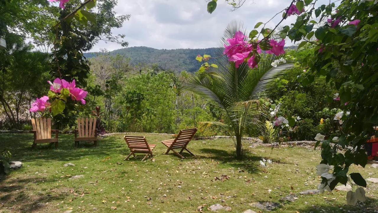 Alice Guesthouse El Remate Dış mekan fotoğraf