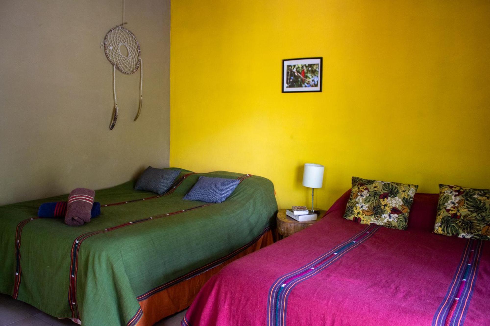 Alice Guesthouse El Remate Dış mekan fotoğraf